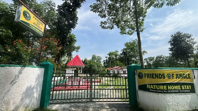 Friends of Jungle