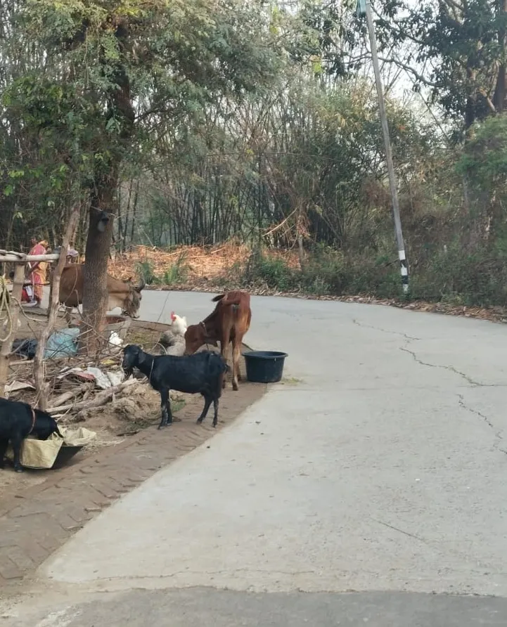 Debanandapur Farm Stay