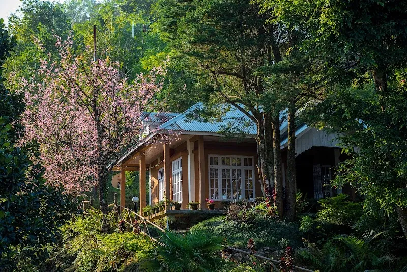 Rodhighar Homestay