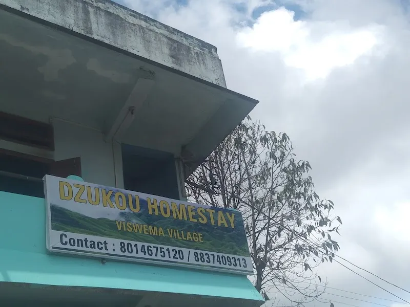 Dzukou Homestay