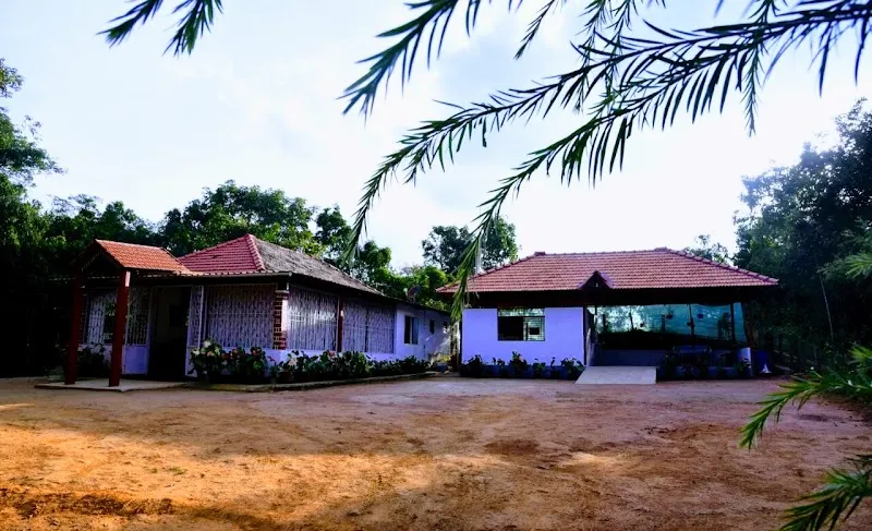 Meadow Muse Homestay