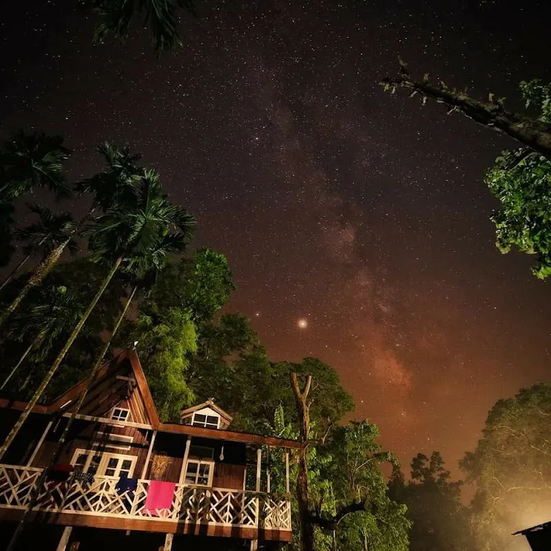 Dooars Prakriti Homestay Jayanti
