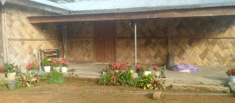 Tangnyu, Homestay