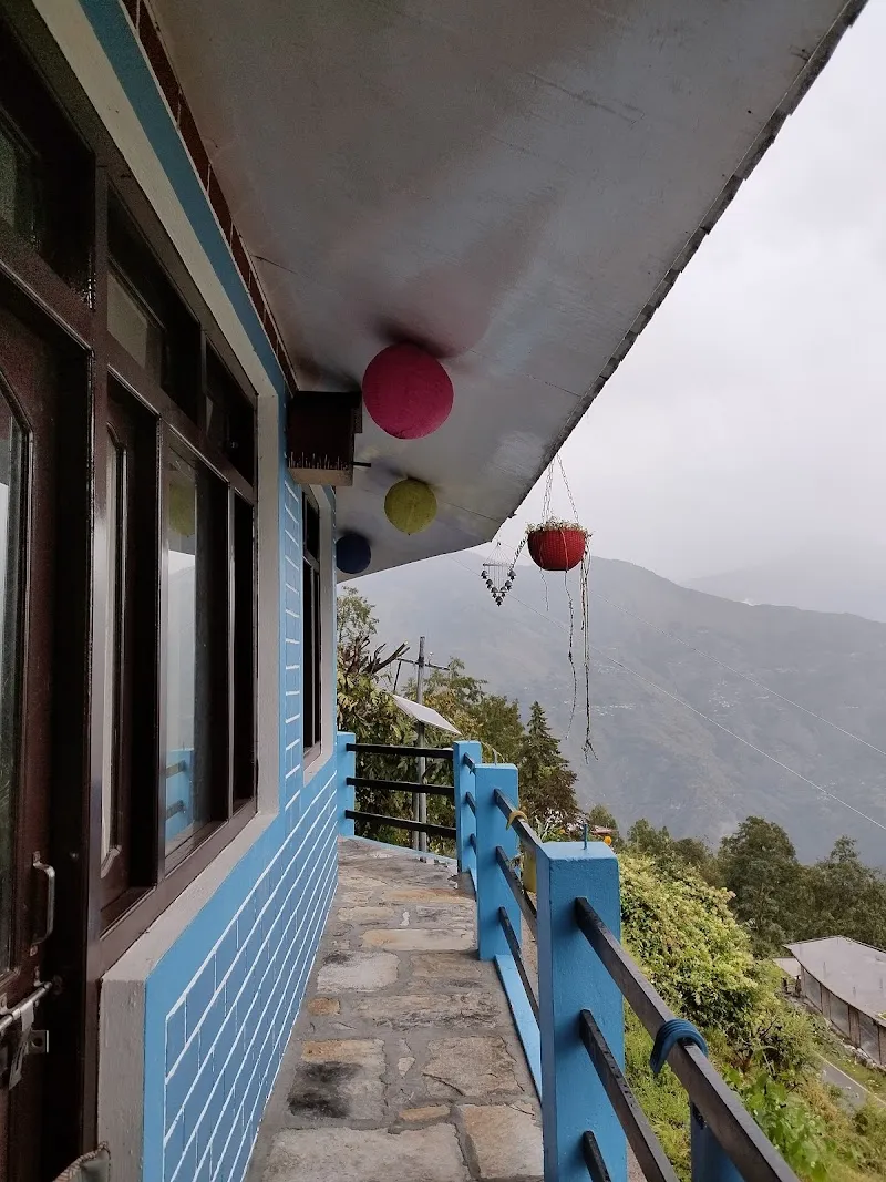 Himalayan Nest Munsyari
