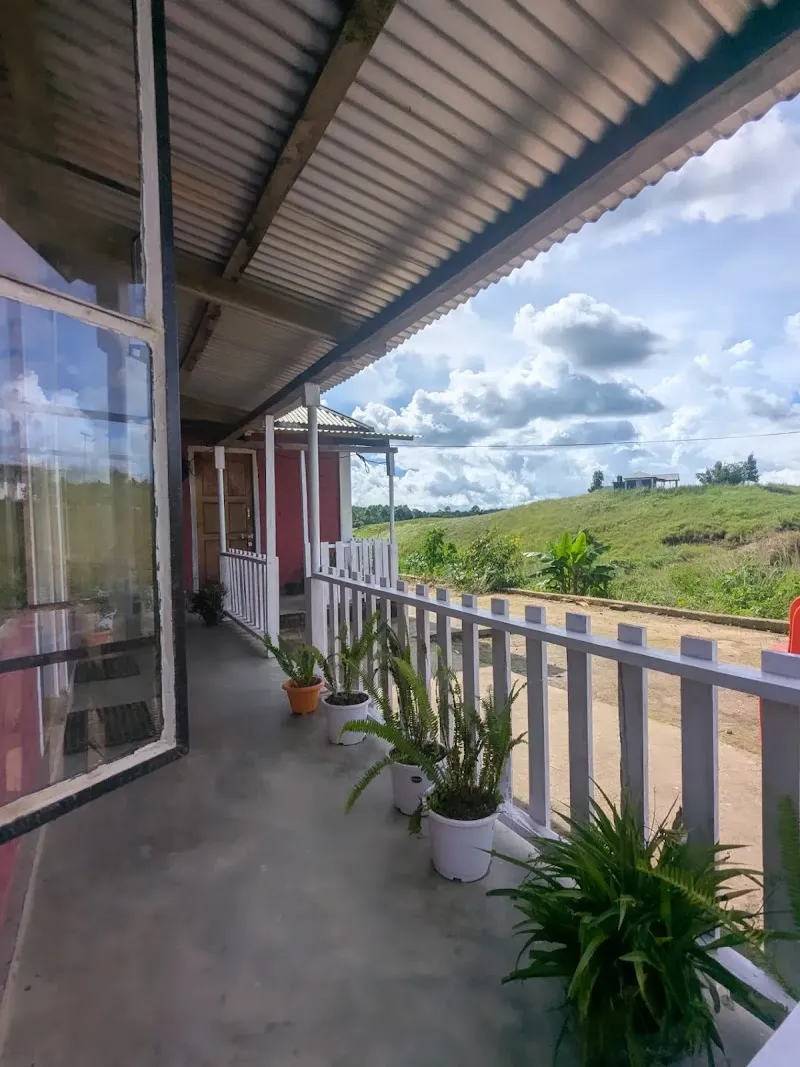 Pynk Rest Inn Homestay