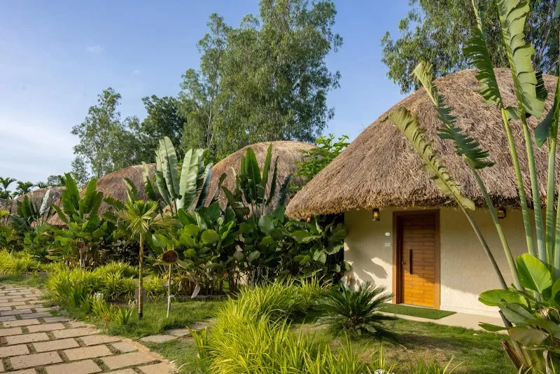 Dandeli Jungle Stay