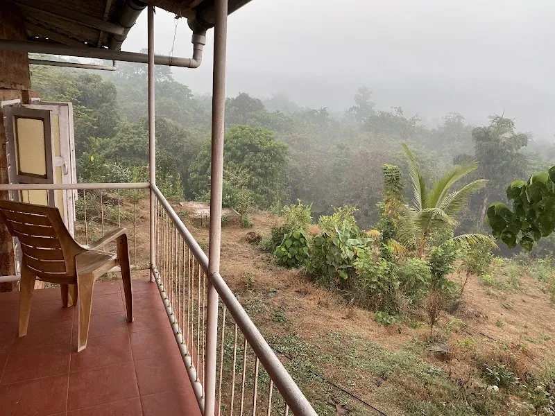Aaranyak HomeStay