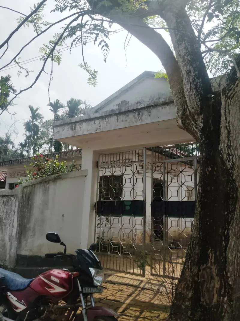 Olivia home