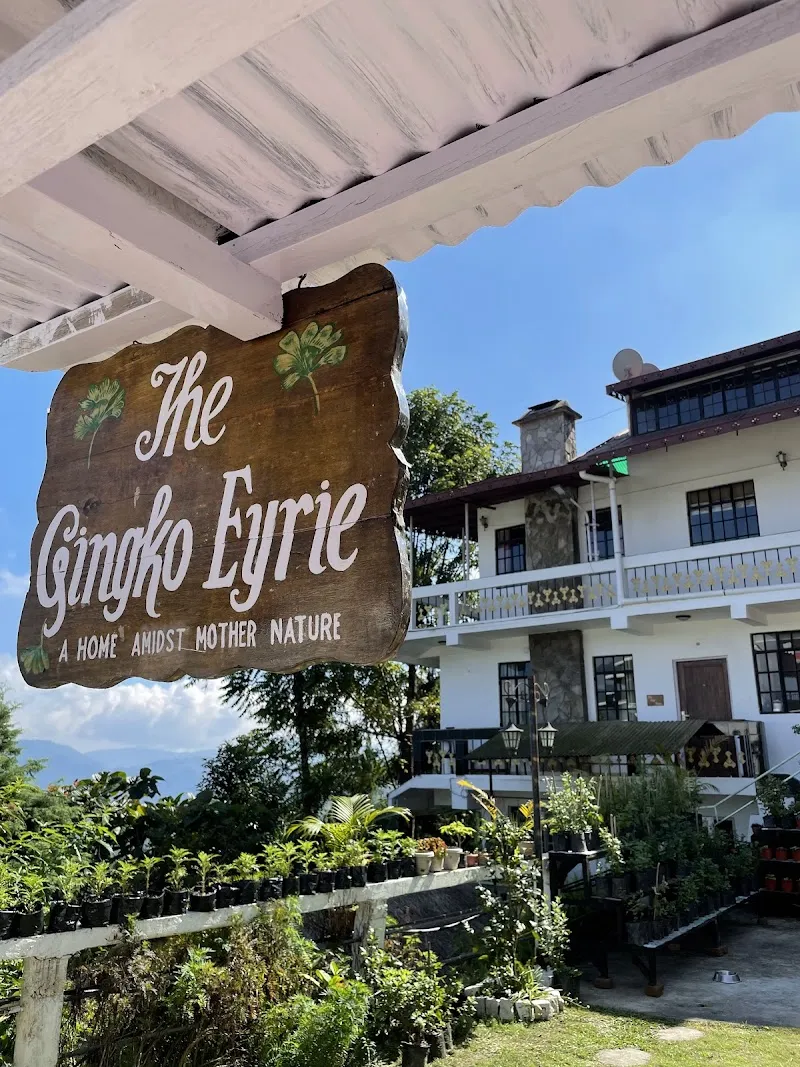 The Gingko Eyrie