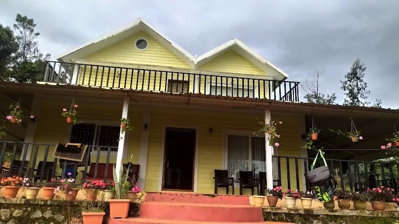 The Ivy House
