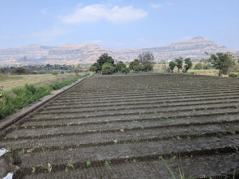 Badhe's Farmhouse & Hotel Rooms