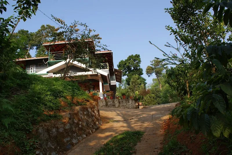 Why Not? Homestay