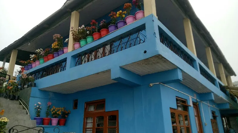Yawon homestay