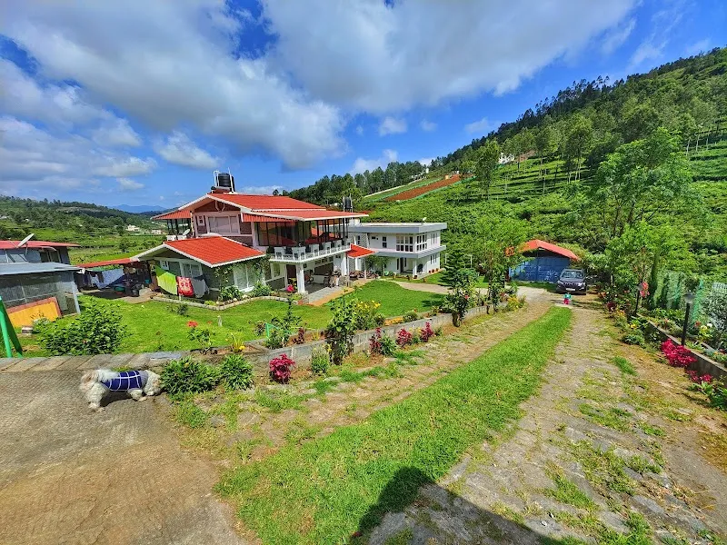 Serenity Homestay