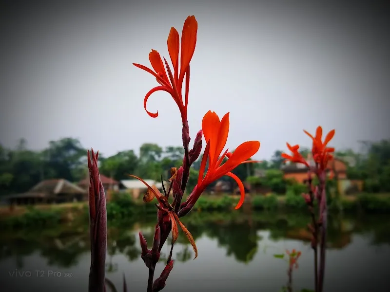 ঋতম মন্ডল এর বাড়ি