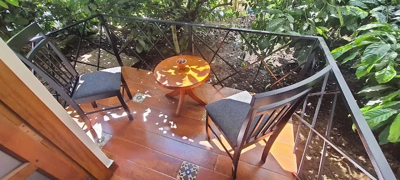 4 NATURE STAY