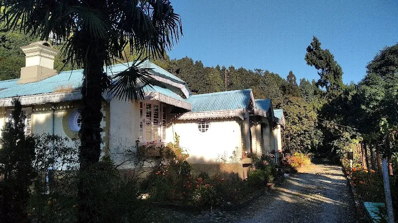 Coelogyne Home stay