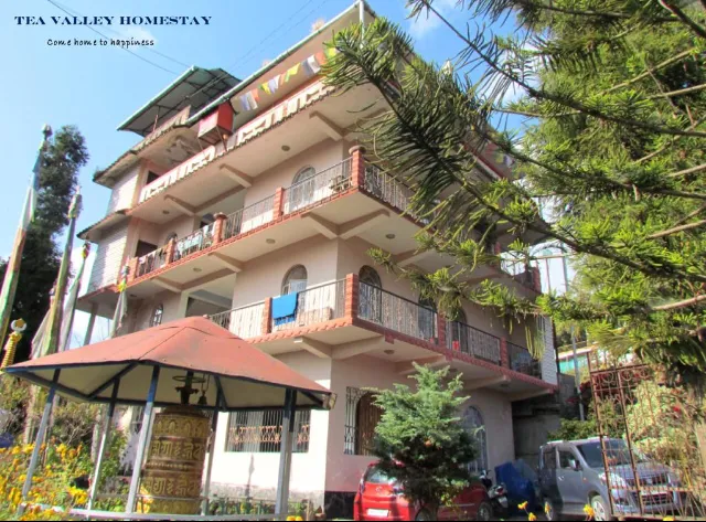 Tea valley homestay