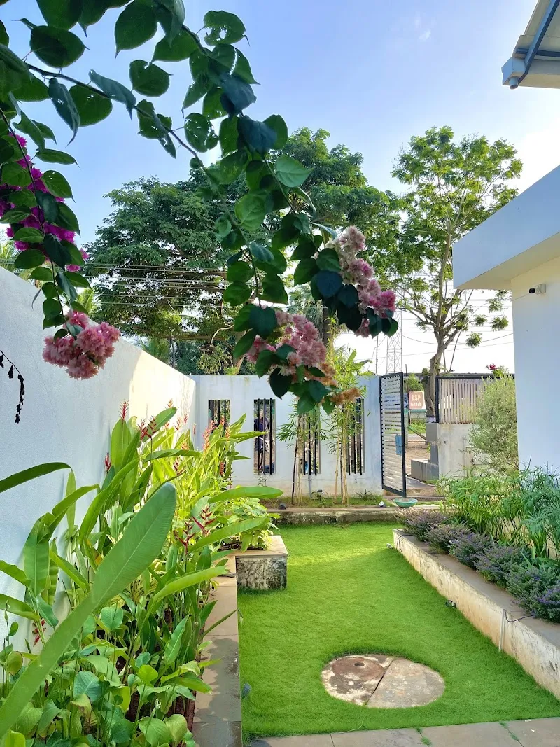 Six Boutique Collection (Home Stay)
