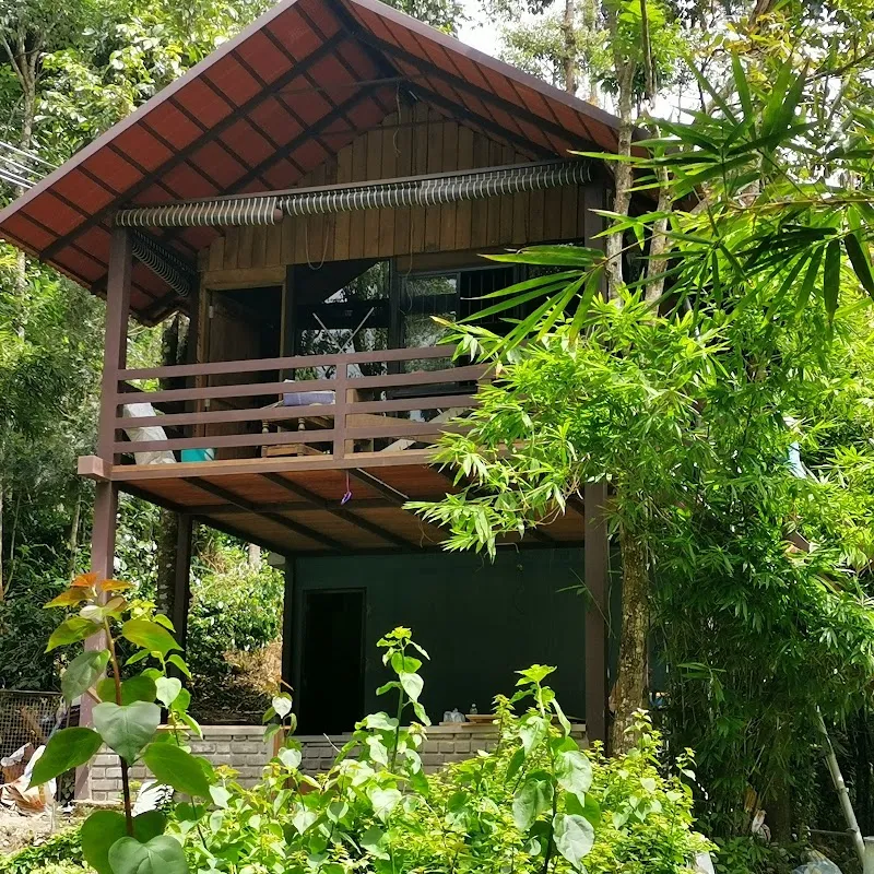 Rainyhut homestay