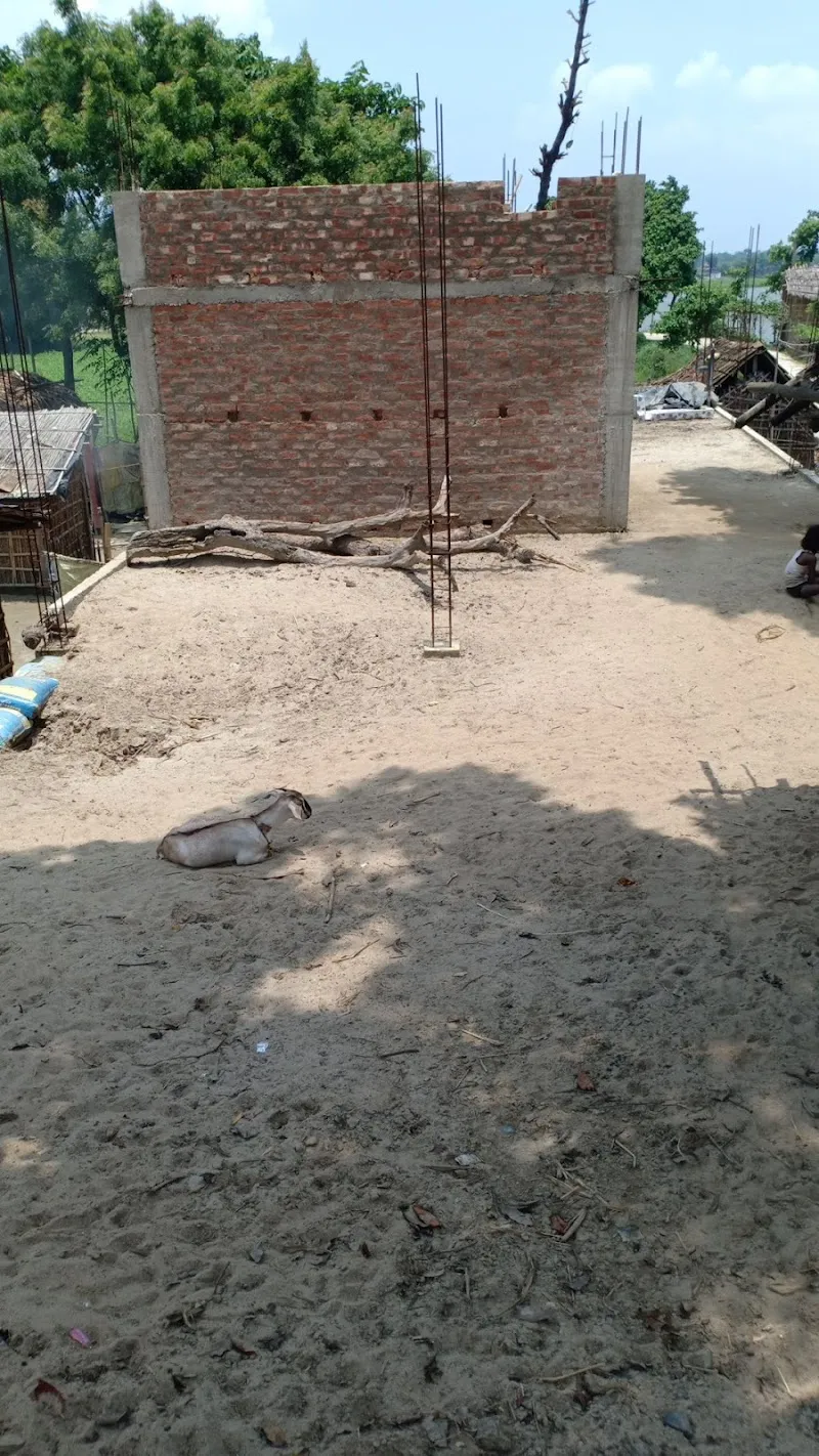 Aman Home