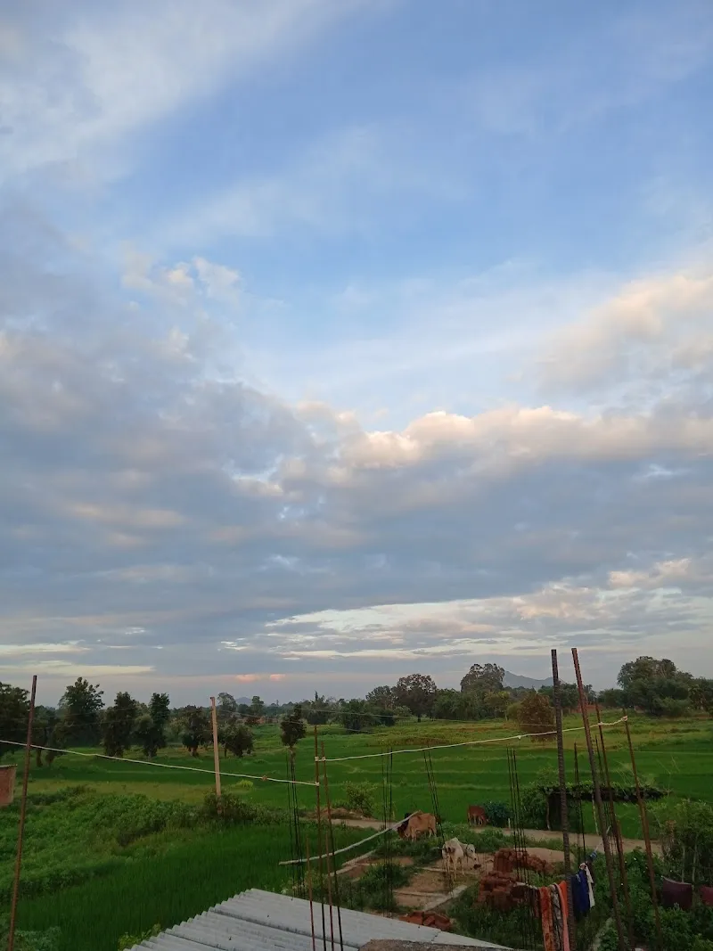 Bhola