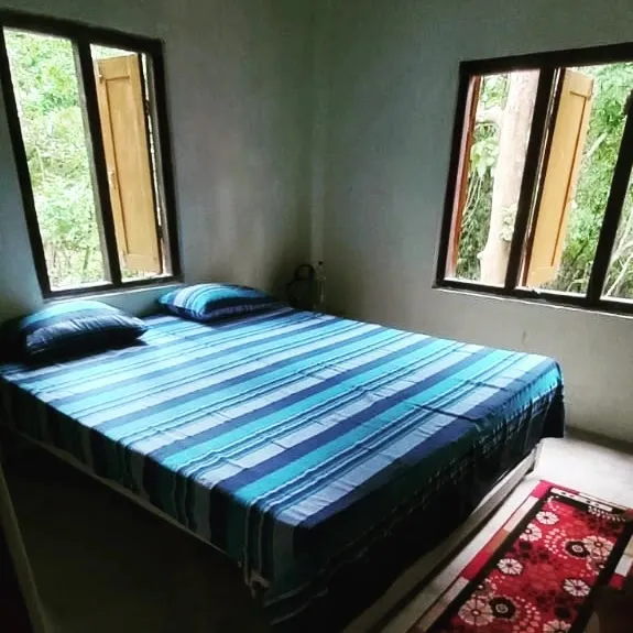 Wild Escape - Eco Retreat