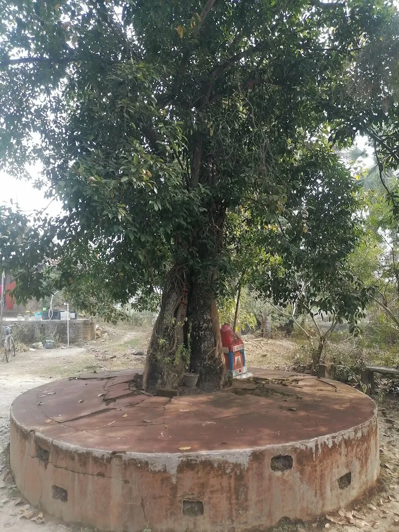 Seuri Gonsaibari (Anik adhikary)
