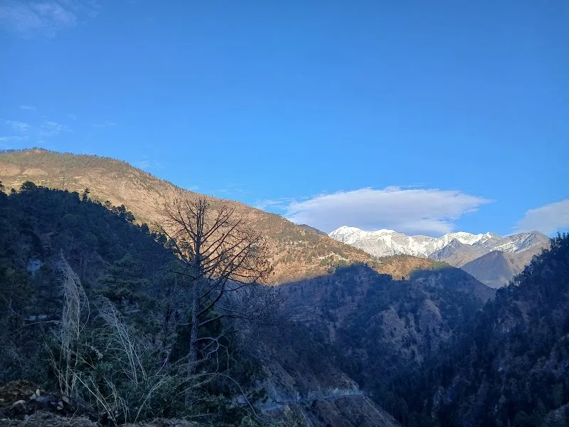 NEGI home stay