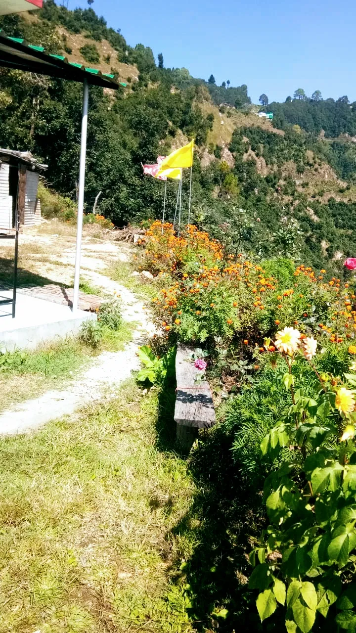 HOME STAY PAHADI VILLA & RESTAURANT