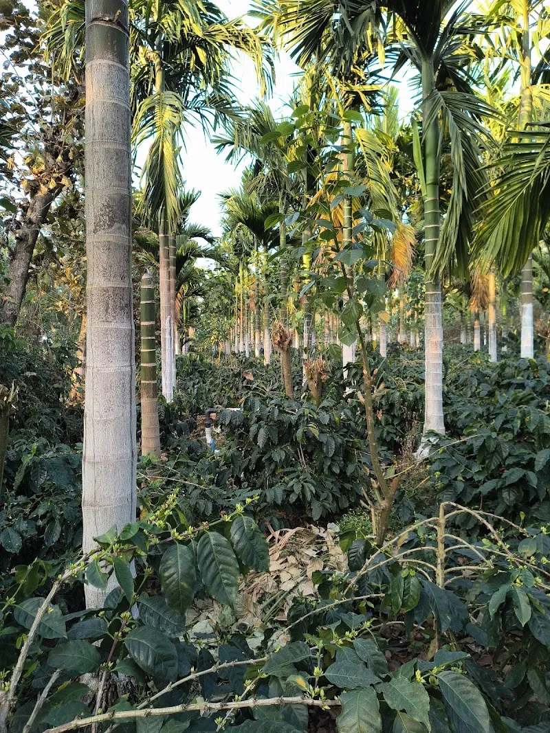 Krishna Shetty farm