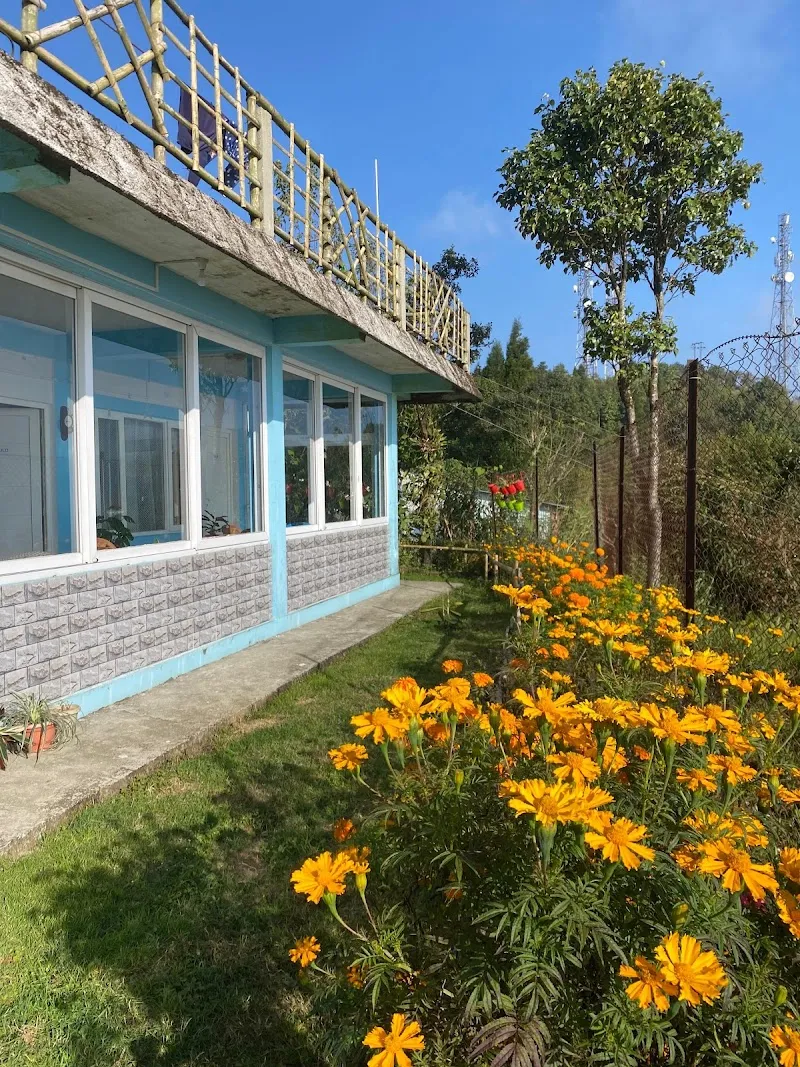Morning glory homestay
