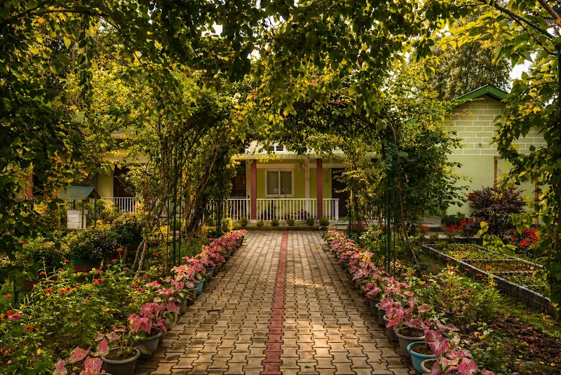 Bononi | Guest House in Jorhat | Home Stay in Jorhat