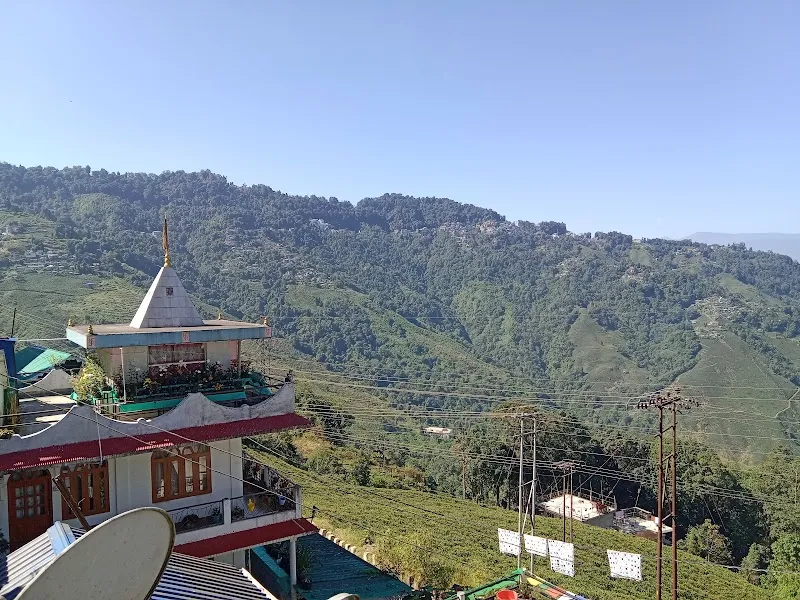 Mine -hill top heaven homestay