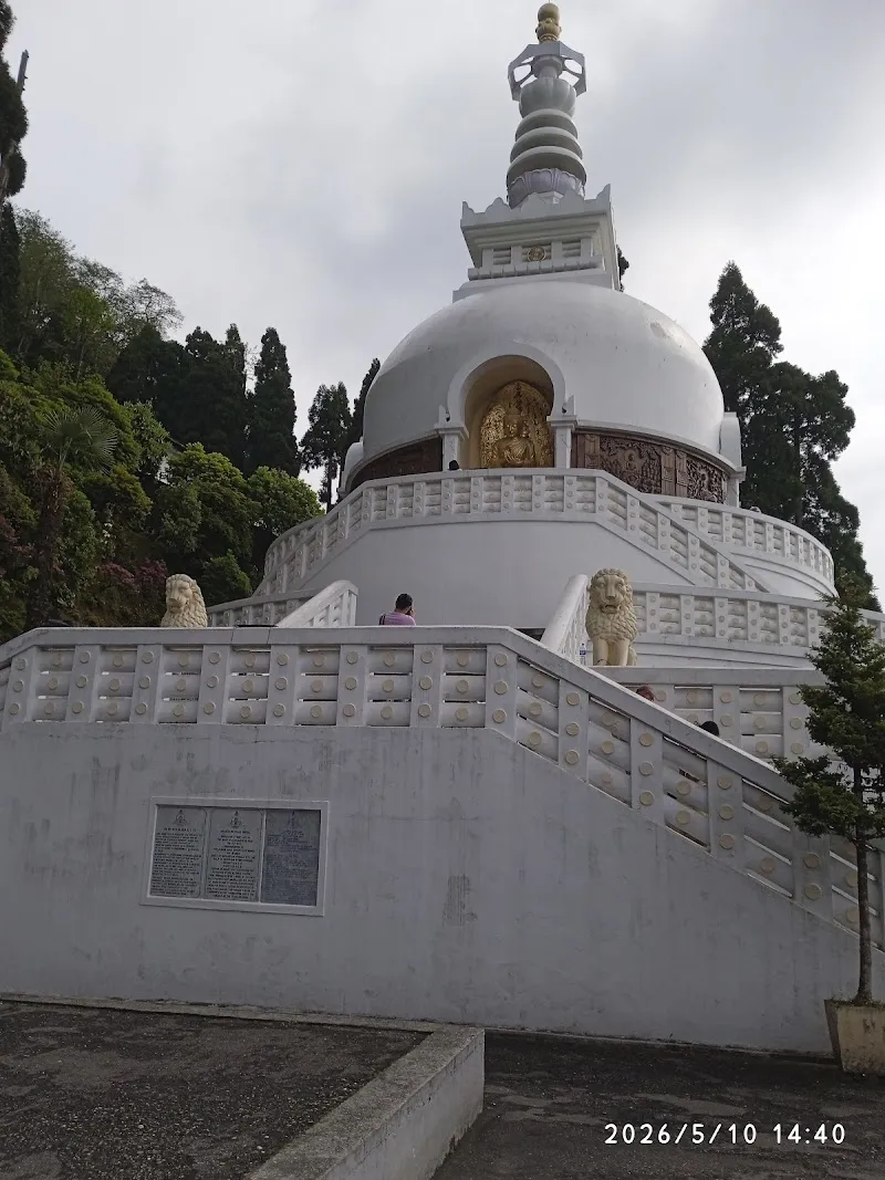 Aarya's homestay darjeeling