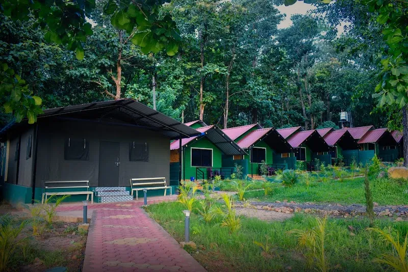 Dandeli jungle lodge stay