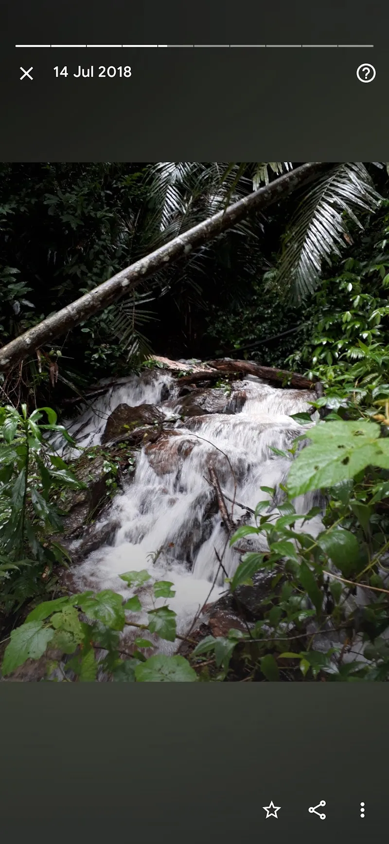 Jenukallu Estate Stay