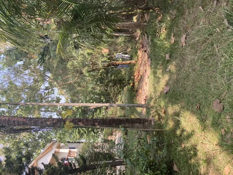 Basanti Homestay