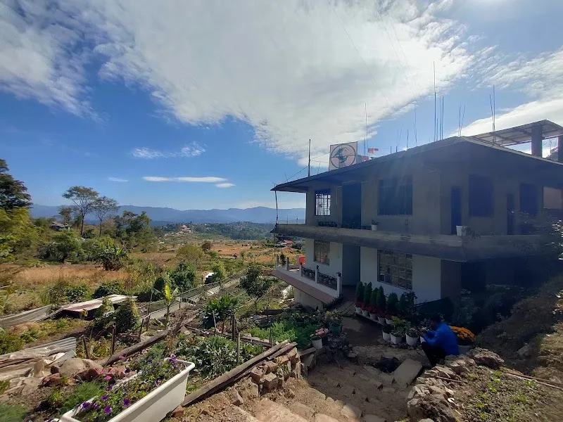Wings of love homestay