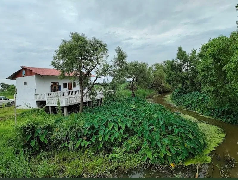 The Tiger Cubs Homestay - Katarniaghat Wildlife Sanctuary - The Helping Hand