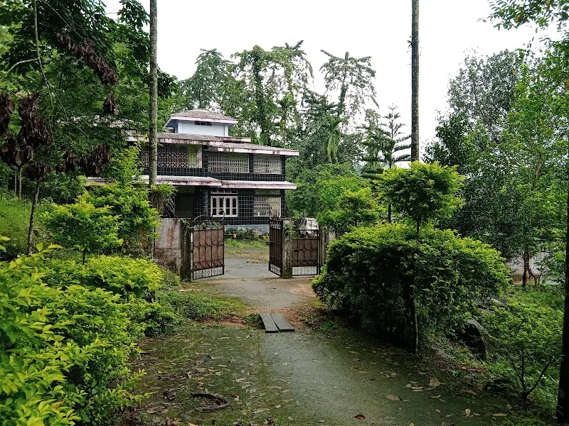 Mongri Homestay(Trip to Wari Chora, Rangram patal,siju cave Jadisil fish century)