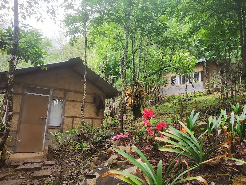 Hornbill view Cottages