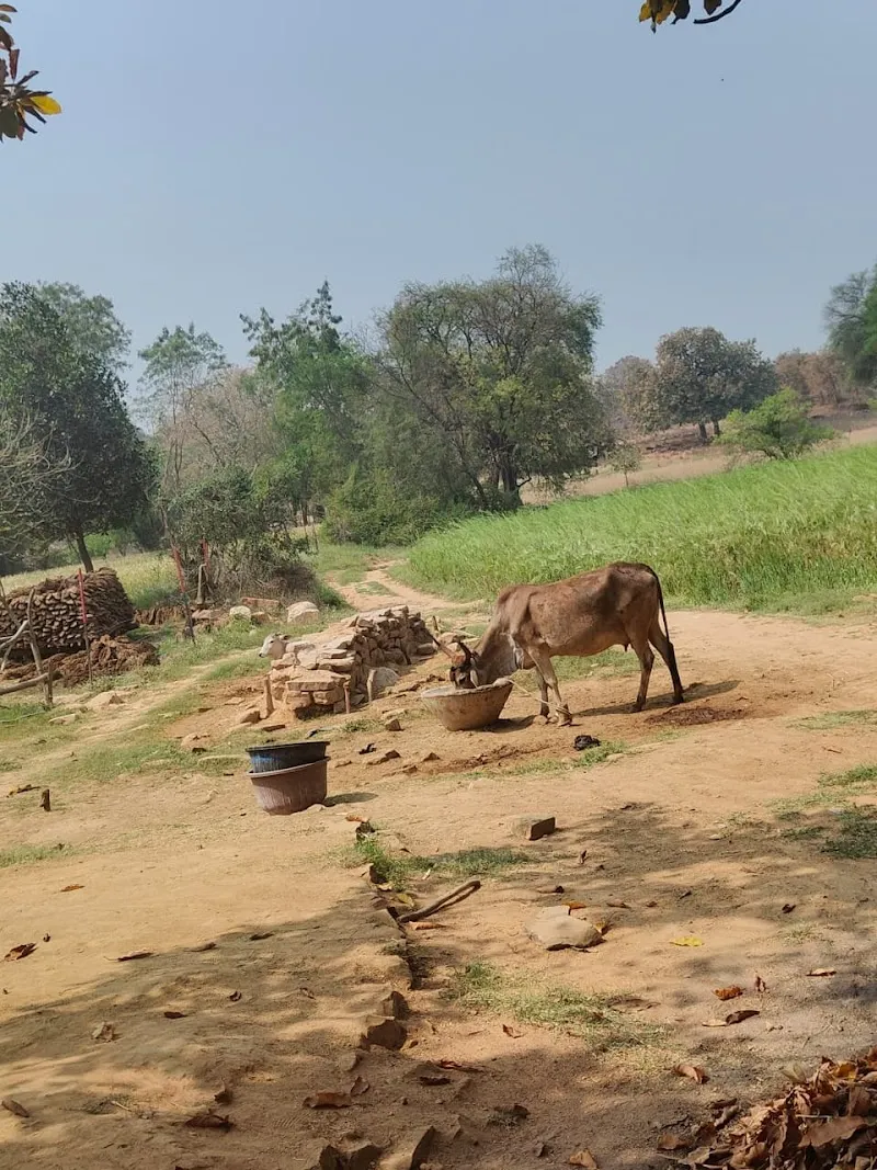 HOUSE OF MISHRA KHANCHA