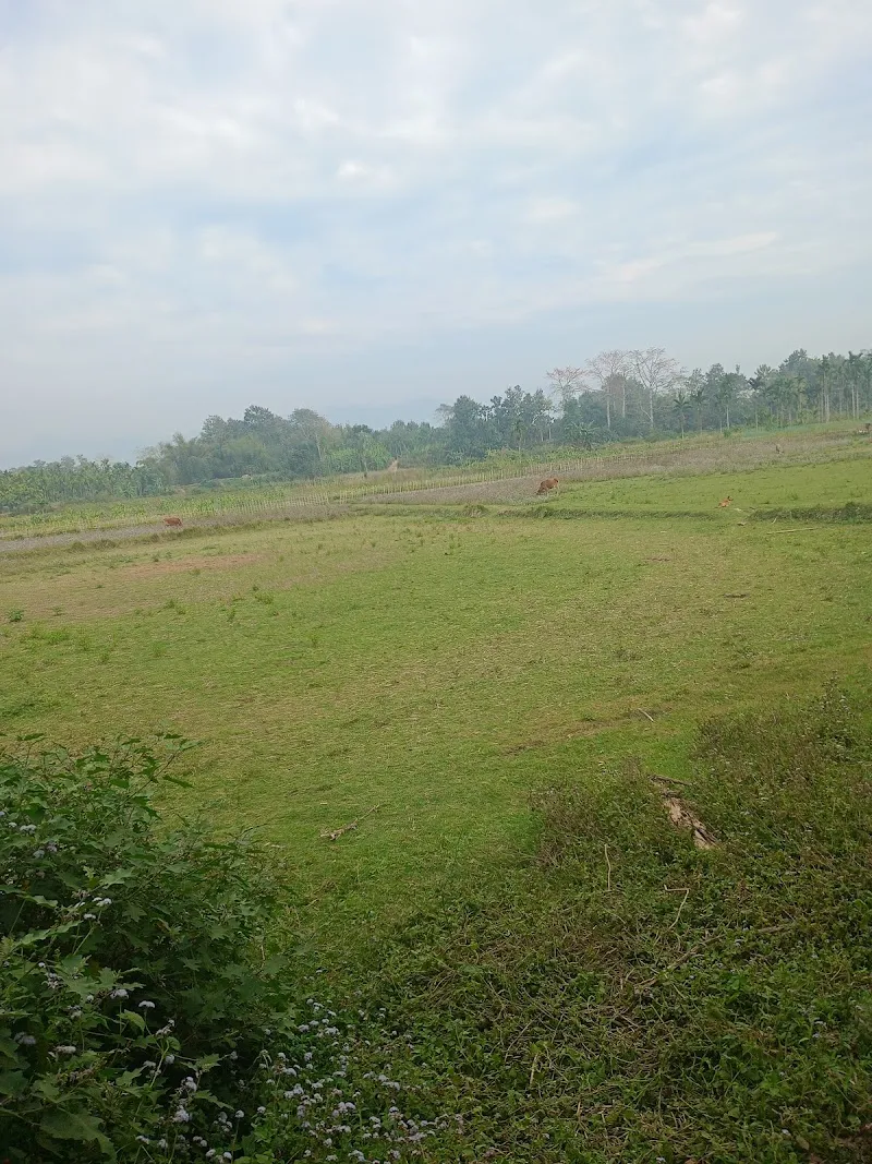 Jaydip Nath