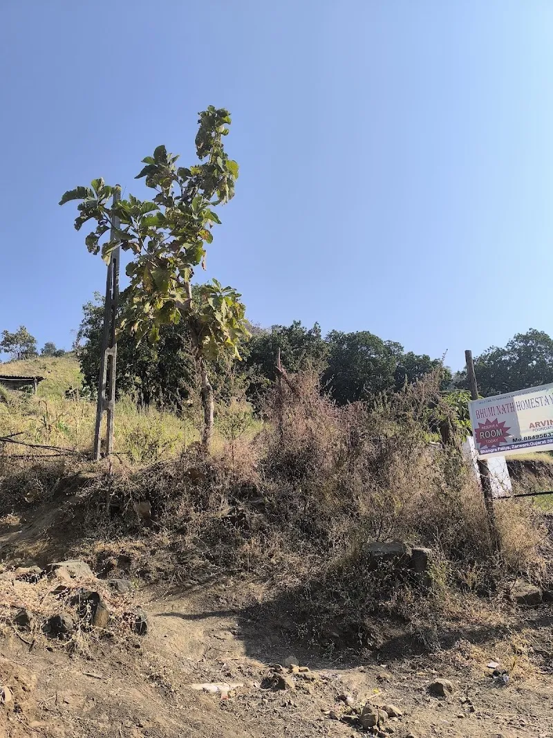 Bhoomi NATH Homestay