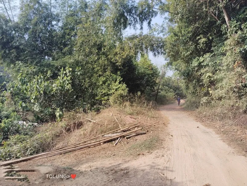 Tolung