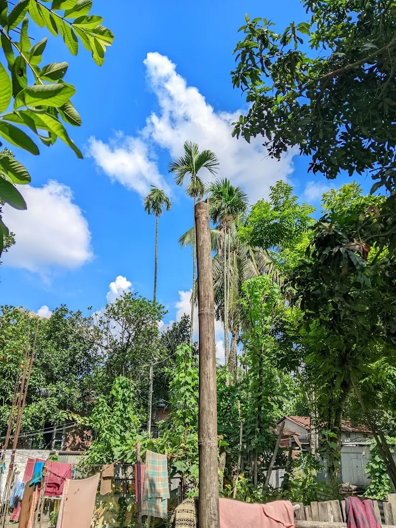 Shazidur home