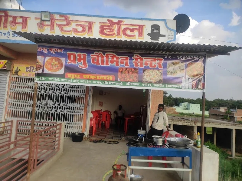 Krishna Nagar Bagodar