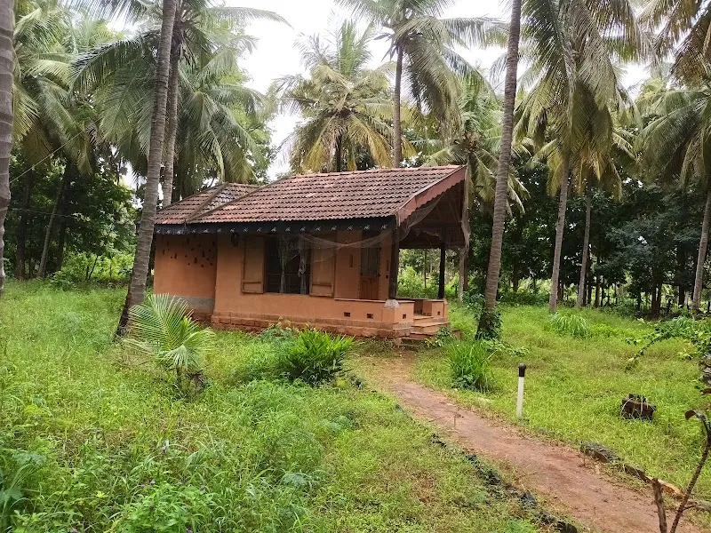 Kissing Trees homestay