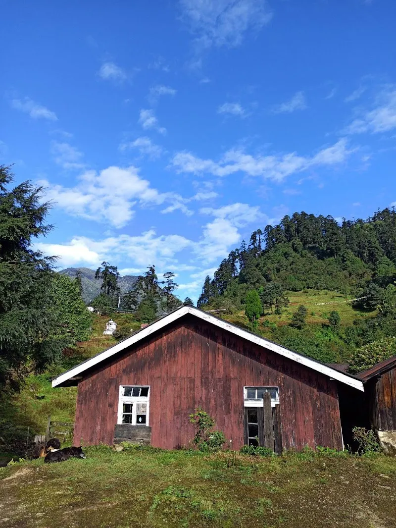 Homestaying